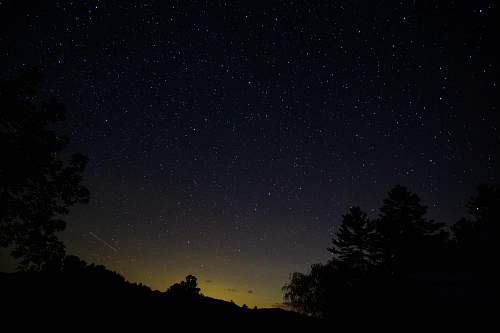 starry sky silhouette of trees under starry sky space